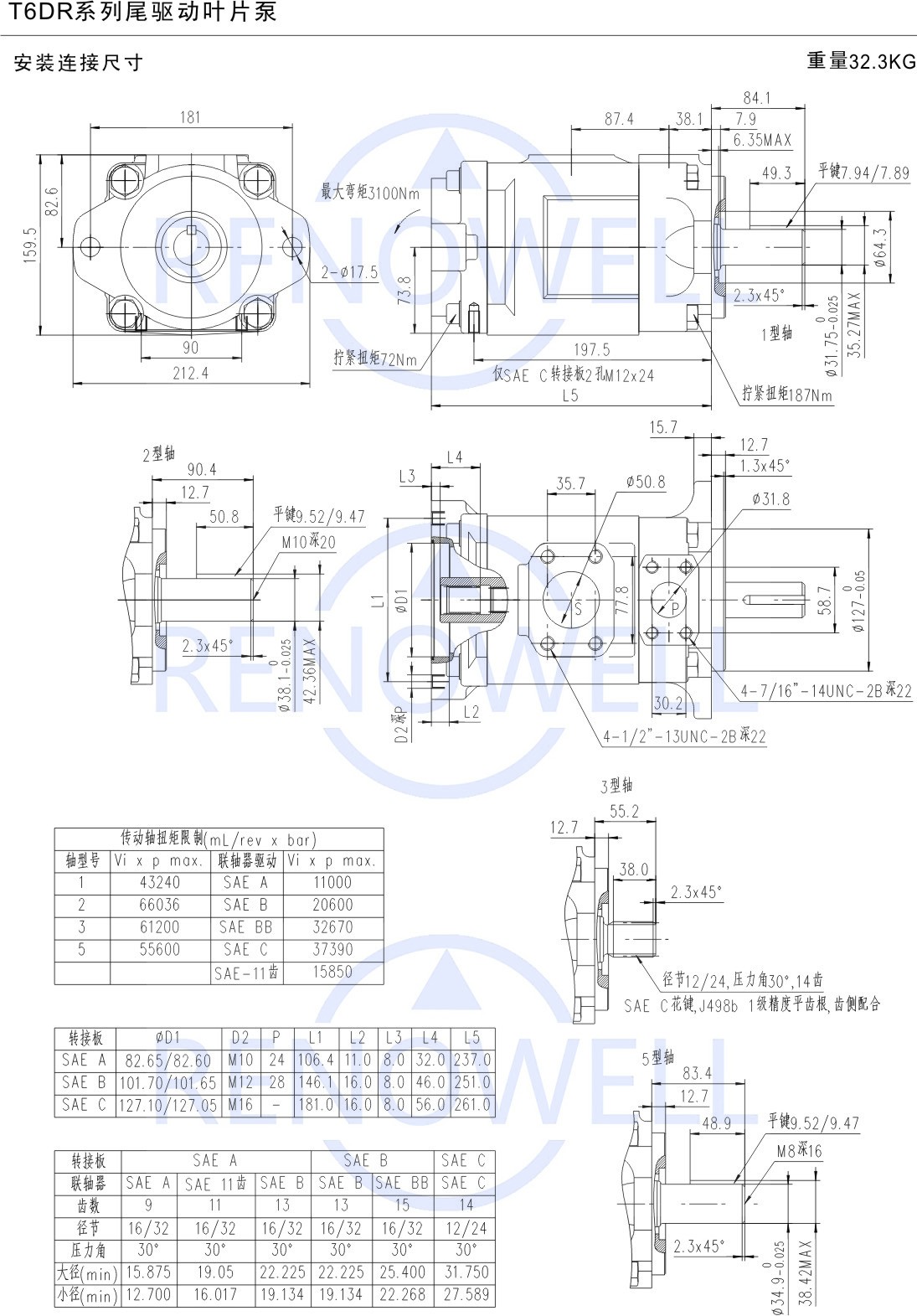 T6DR-P2.jpg